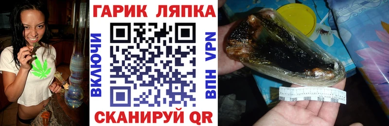 Купить где Кулебаки ГАШ Premium