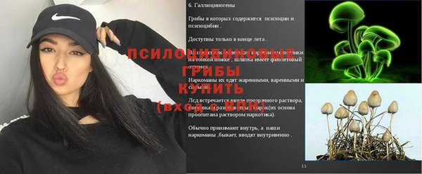 ПСИЛОЦИБИНОВЫЕ ГРИБЫ Зеленокумск