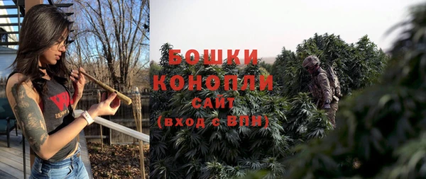 ПСИЛОЦИБИНОВЫЕ ГРИБЫ Зеленокумск